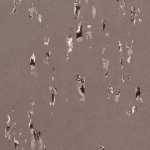 Artoleum Graphic 5314