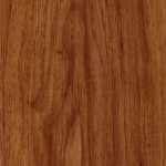 60912 Pecan Honey
