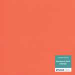 ORANGE tarkett спортивный линолеум